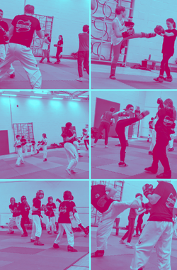 Mosaic of six images of teens and adults sparring and hitting pads